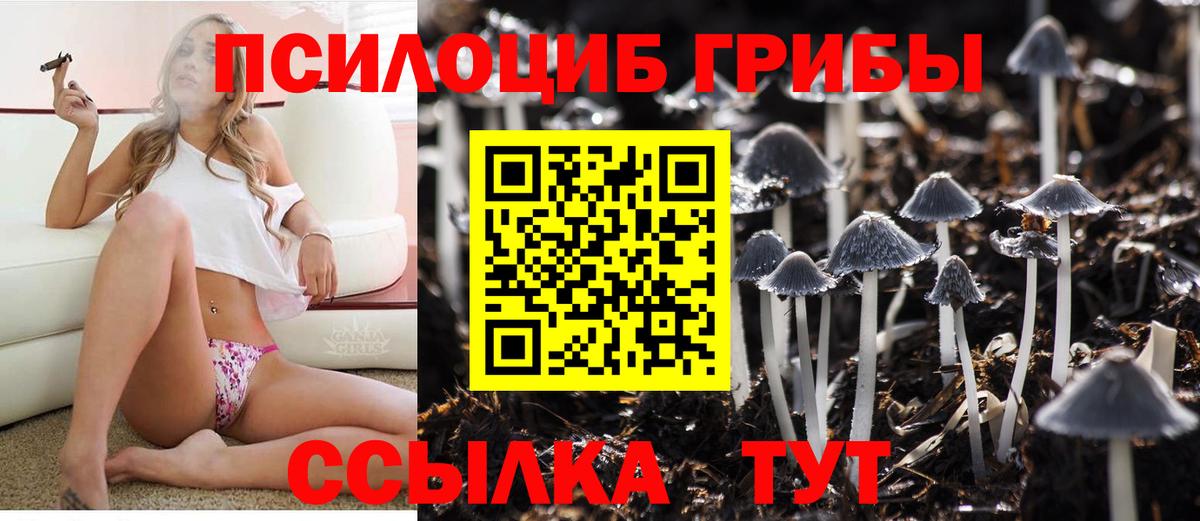 Галлюциногенные грибы Cubensis  Вход с VPN  Керчь 